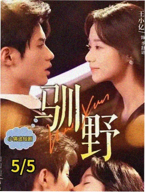 九九电影科幻剧量子边界